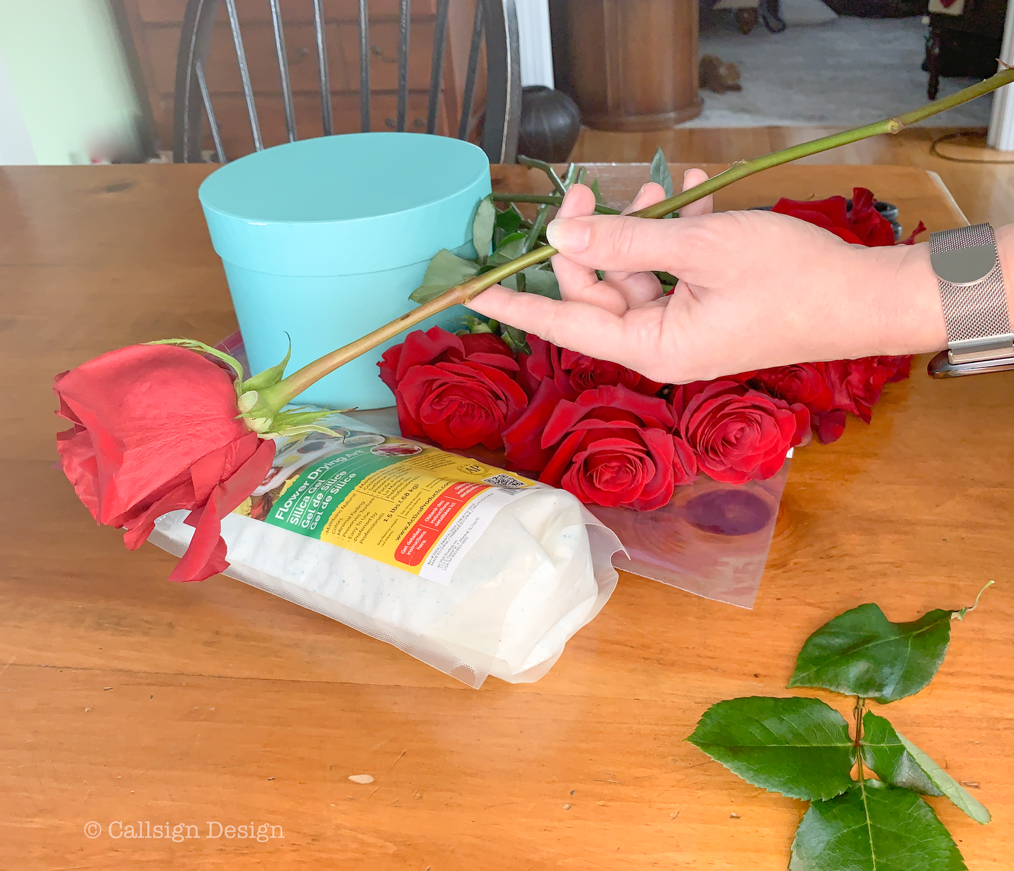How To Preserve Roses